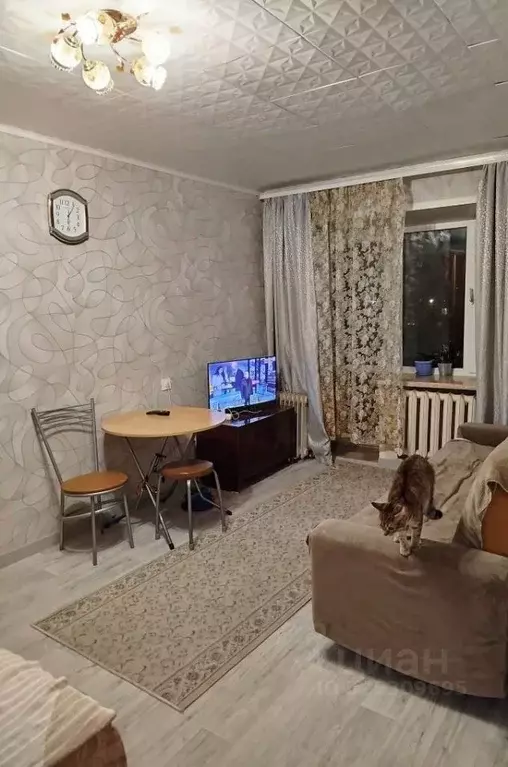 1-к кв. Костромская область, Кострома Никитская ул., 88 (28.5 м) - Фото 1