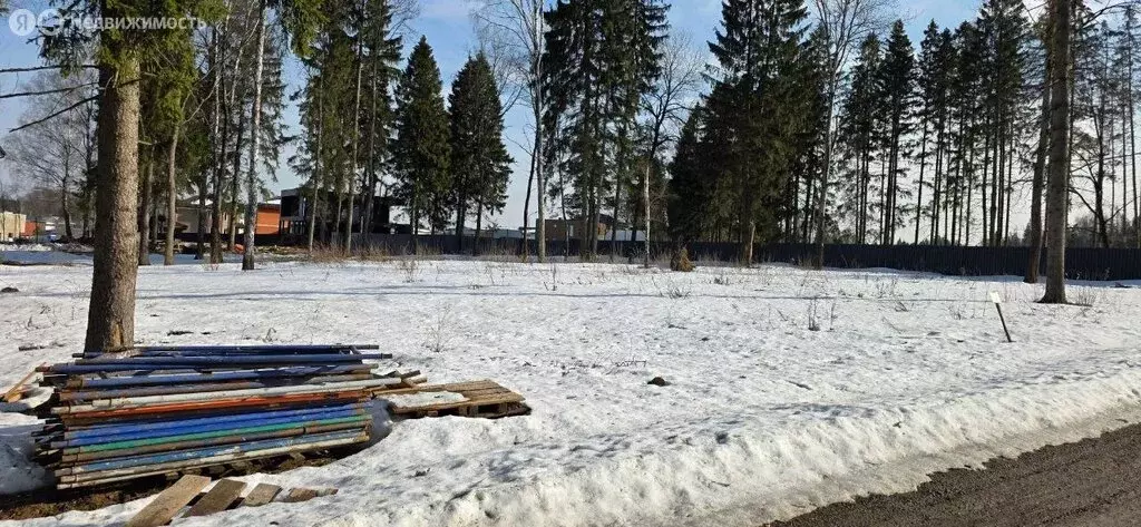 Участок в Химки, КП Сходня форест парк, 163 (6 м) - Фото 2