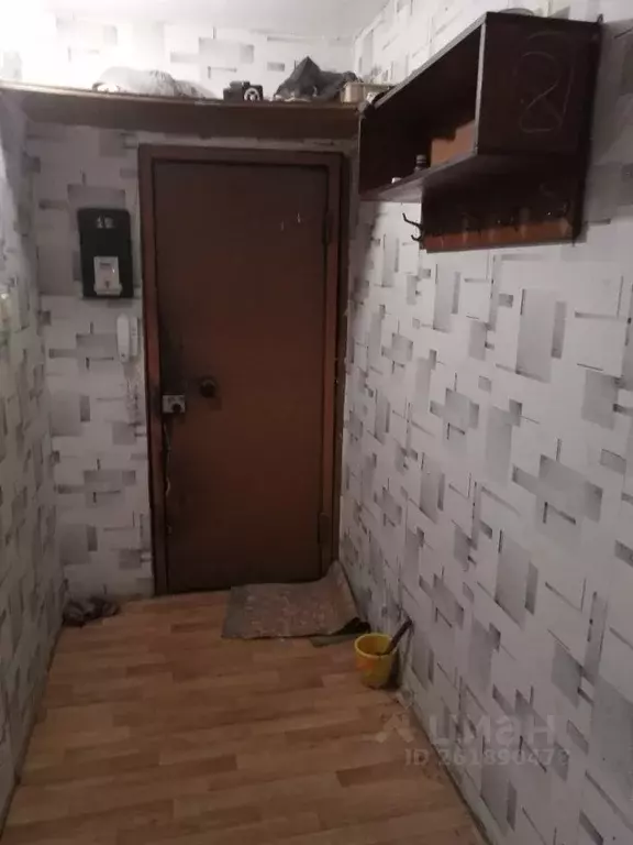 2-к кв. Амурская область, Благовещенск ул. Шимановского, 38 (47.0 м) - Фото 2