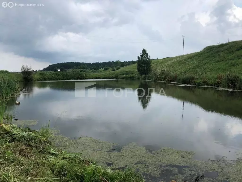 Участок в Тогучинский район, село Карпысак, Береговая улица, 3 (8 м) - Фото 1