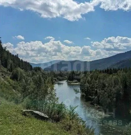 Участок в Алтай, Усть-Коксинский район, с. Юстик ул. Ленкома (13.0 ... - Фото 1