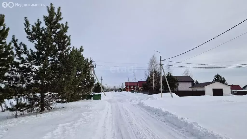 Участок в Новосибирская область, Коченёвский муниципальный район, СНТ ... - Фото 2