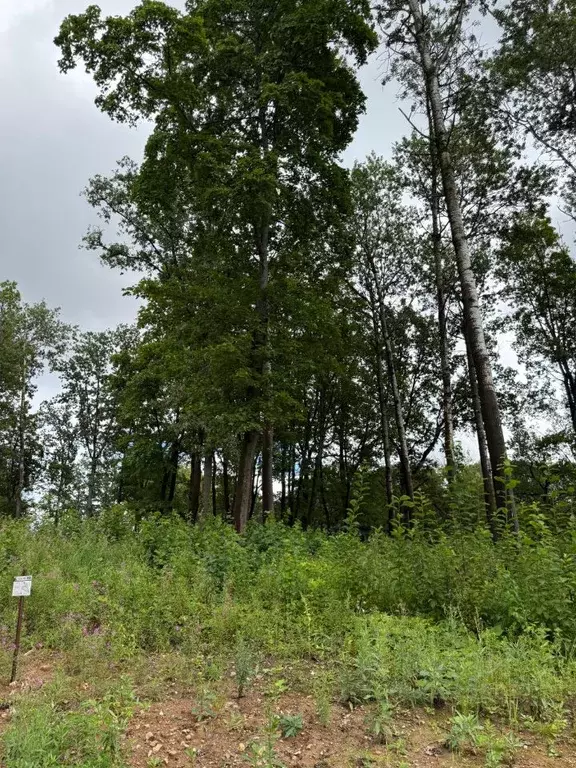 Участок в Московская область, Дмитровский муниципальный округ, д. ... - Фото 1