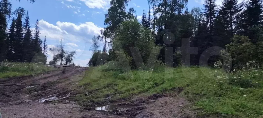 Участок 3,34 га (СНТ, ДНП) - Фото 1