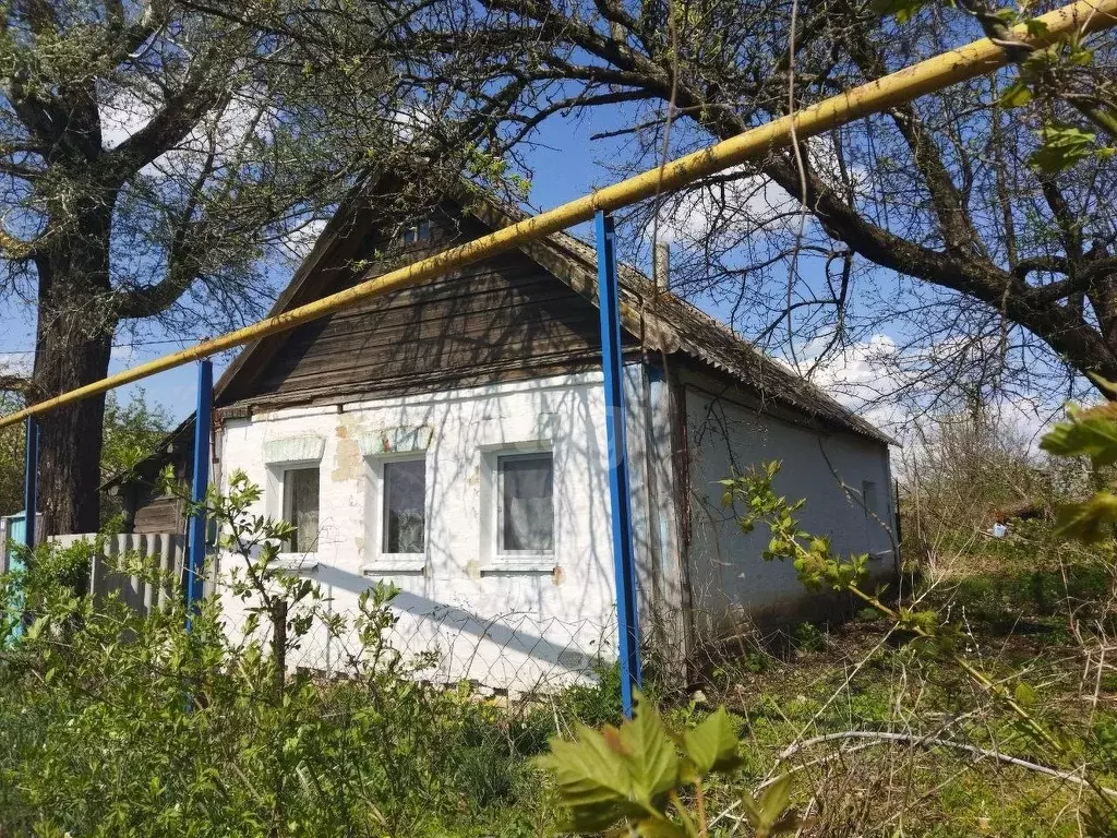 Купить Дом В Красной Ниве Брюховецкий Район