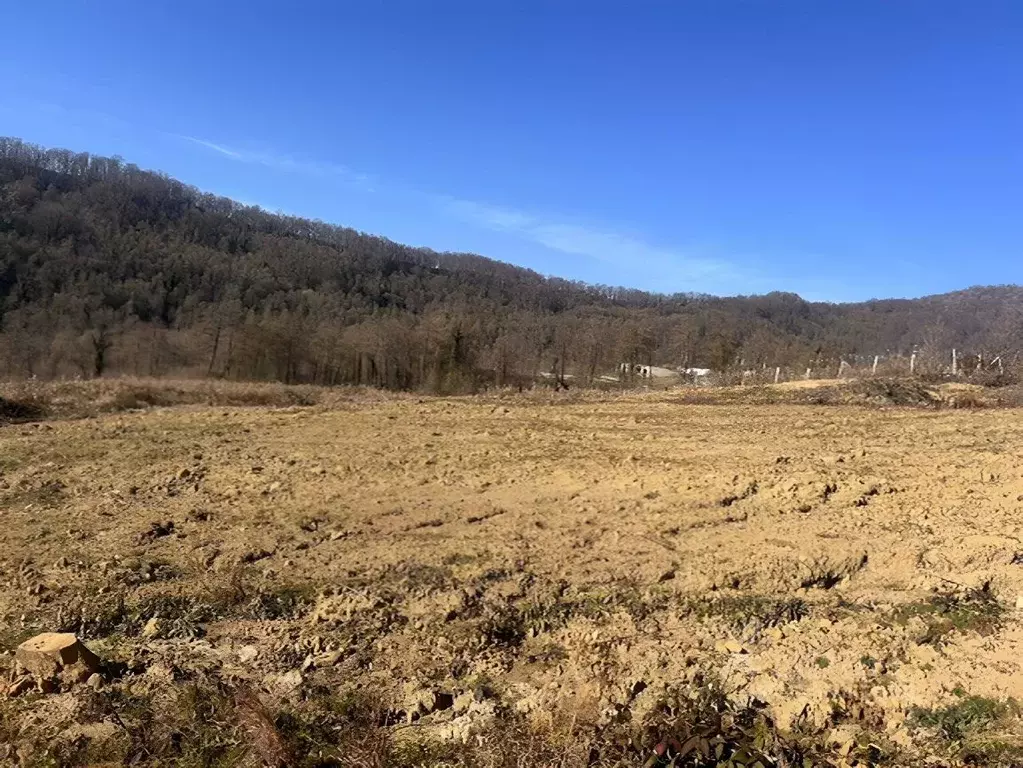 Участок в Краснодарский край, Сочи городской округ, с. Липники  (1.0 ... - Фото 2