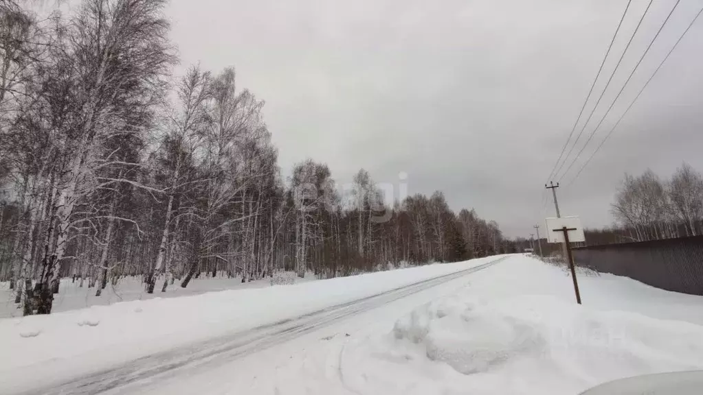 Участок в Свердловская область, Верхнее Дуброво пгт пер. Лазуритовый, ... - Фото 0