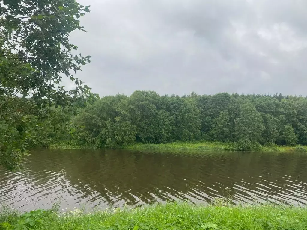 Участок в Тверская область, Калининский муниципальный округ, д. Лапино ... - Фото 1