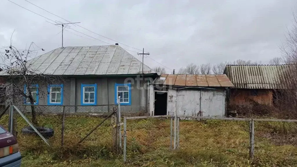 Дом в Алтайский край, Топчихинский район, с. Топчиха Пушкинская ул., ... - Фото 0