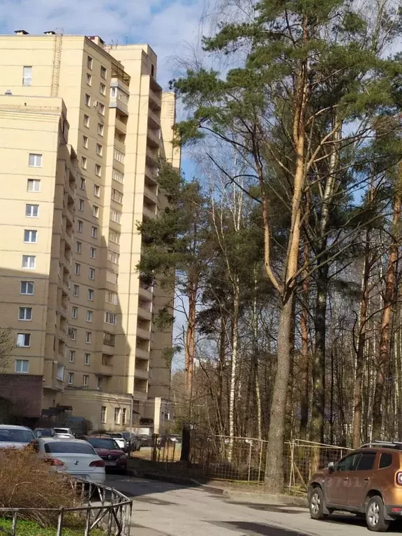 Студия Санкт-Петербург просп. Авиаконструкторов, 49 (23.7 м) - Фото 2