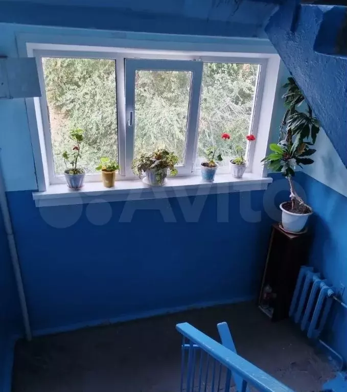 1-к. квартира, 30 м, 4/5 эт. - Фото 0
