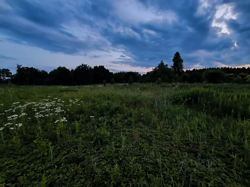 Участок в Башкортостан, Иглинский район, Акбердинский сельсовет, ... - Фото 1