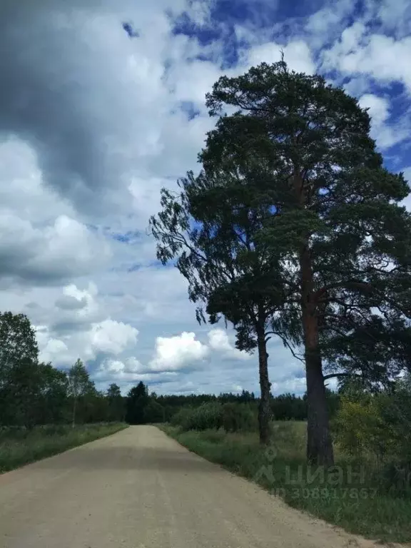 Участок в Ленинградская область, Лужский район, Мшинское с/пос, ... - Фото 0