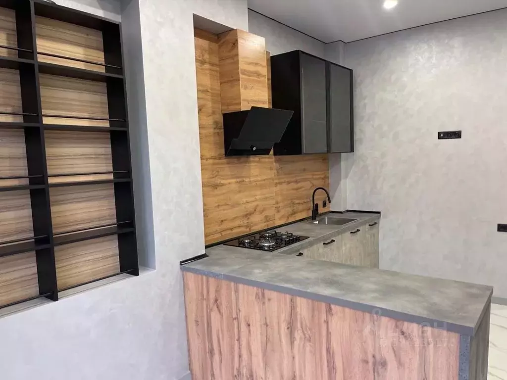 1-к кв. Ставропольский край, Предгорный муниципальный округ, Новая ... - Фото 2