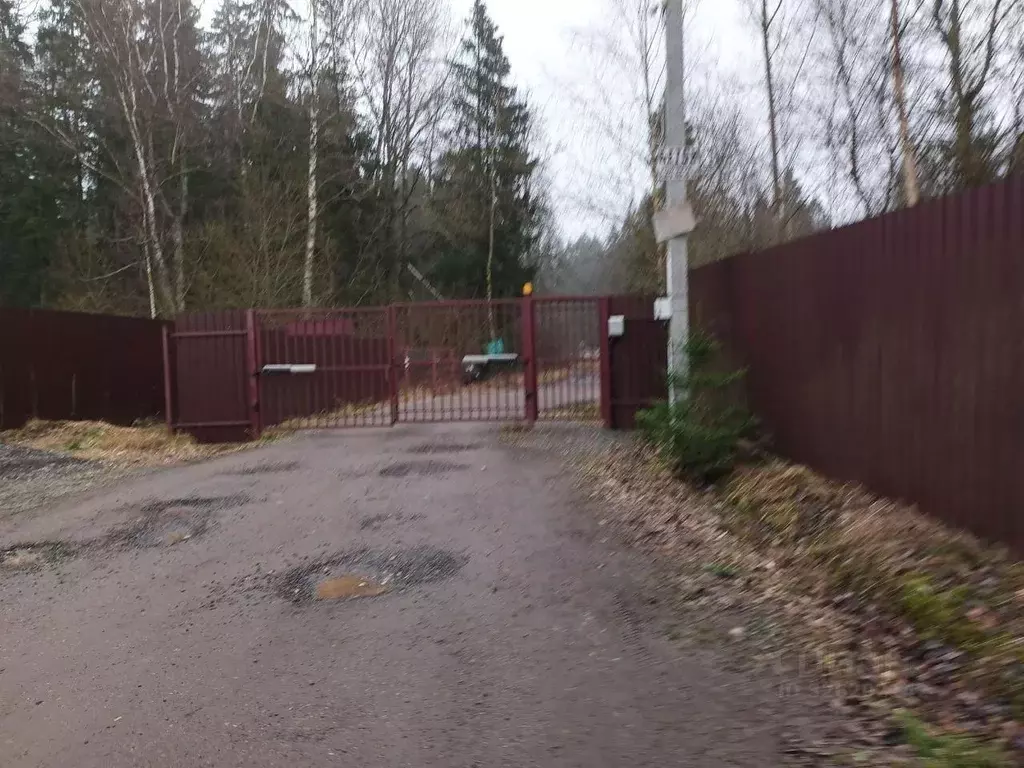 Участок в Московская область, Пушкинский городской округ, д. Грибаново ... - Фото 2