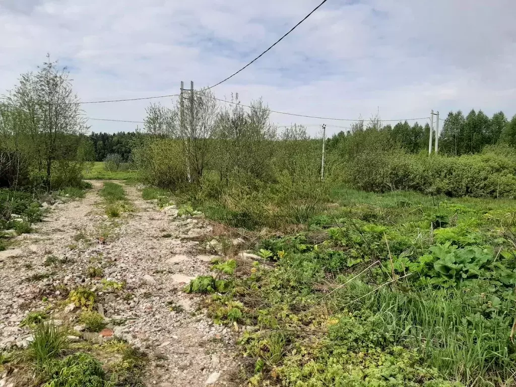 Участок в Московская область, Щелково городской округ, Добрый кв-л ул. ... - Фото 1