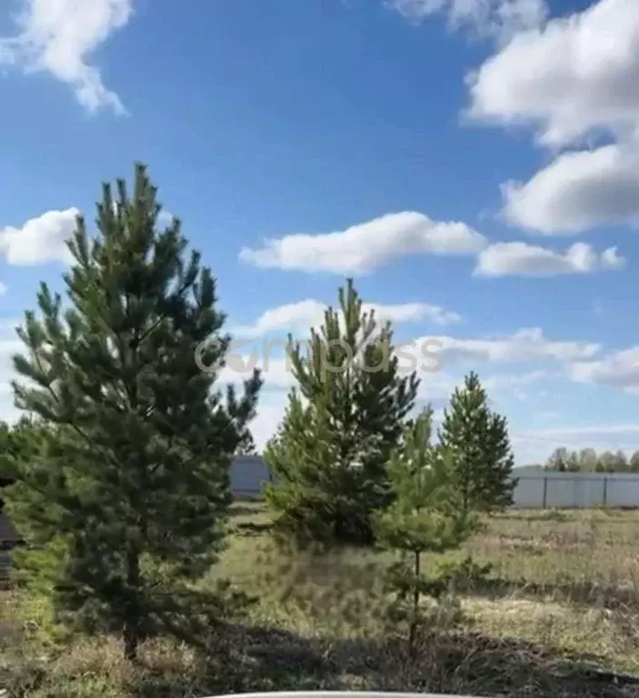 Участок в Тюменская область, Тюменский район, с. Луговое  (11.0 сот.) - Фото 0