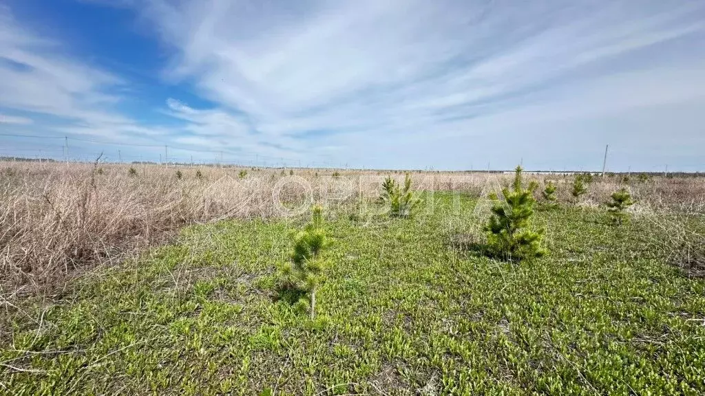 Участок в Тюменская область, Тюменский муниципальный округ, д. ... - Фото 2
