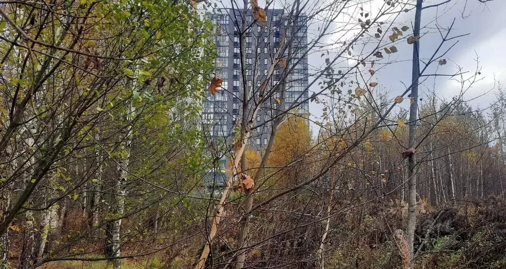 Участок в Москва д. Тупиково, Поляна СНТ,  (30.0 сот.) - Фото 1