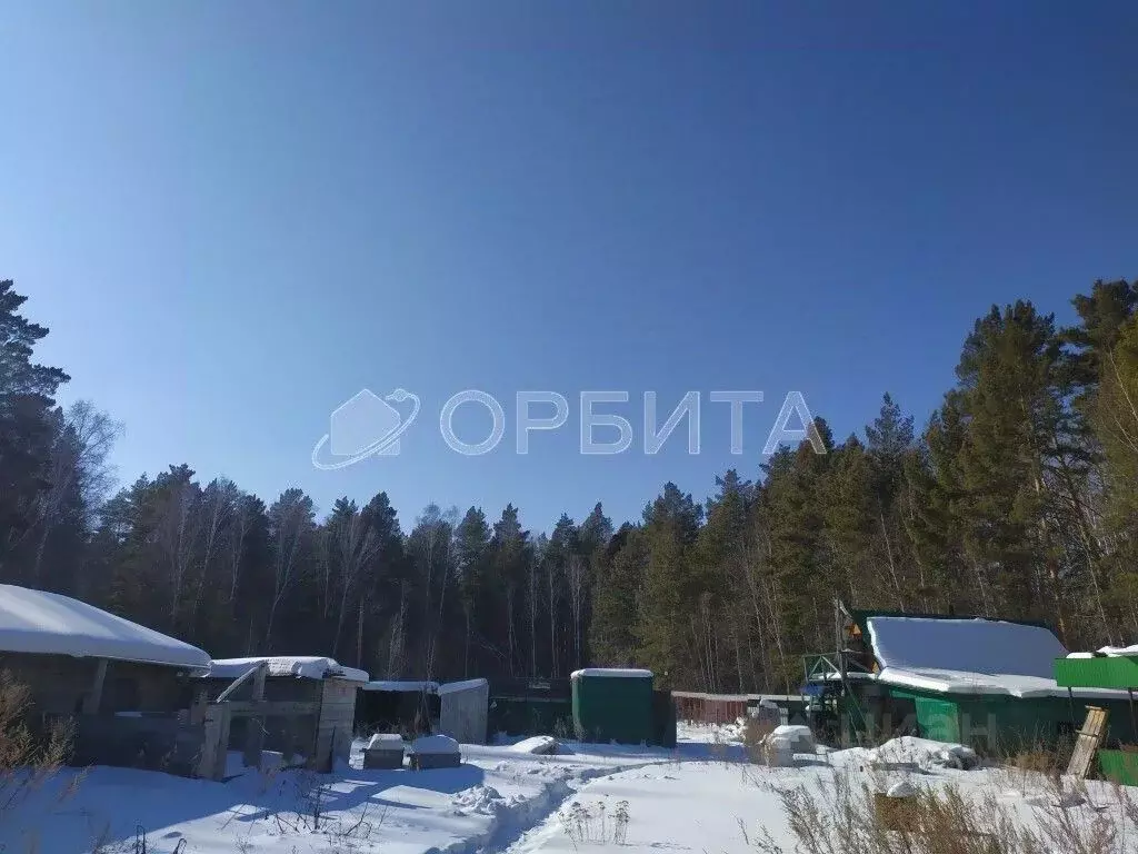 Участок в Тюменская область, Тюменский муниципальный округ, с. ... - Фото 1
