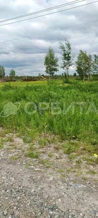 Участок в Тюменская область, Тюмень Поле Чудес-2 садовое товарищество, ... - Фото 1