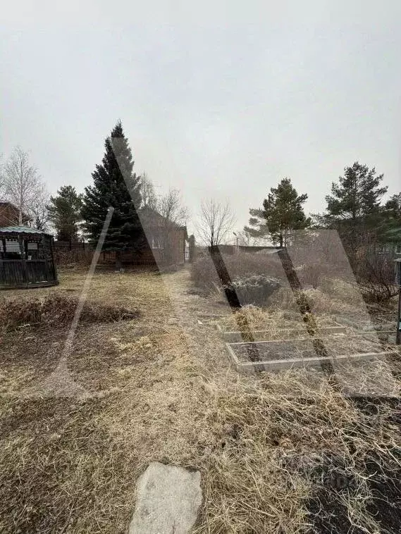 Дом в Омская область, Кормиловский район, д. Корниловка, Дружба СТ  ... - Фото 1