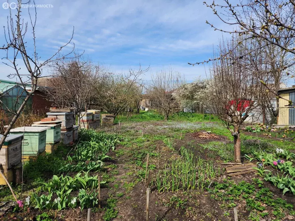 Дом в станица Выселки, улица Свободы, 32А (70 м) - Фото 1