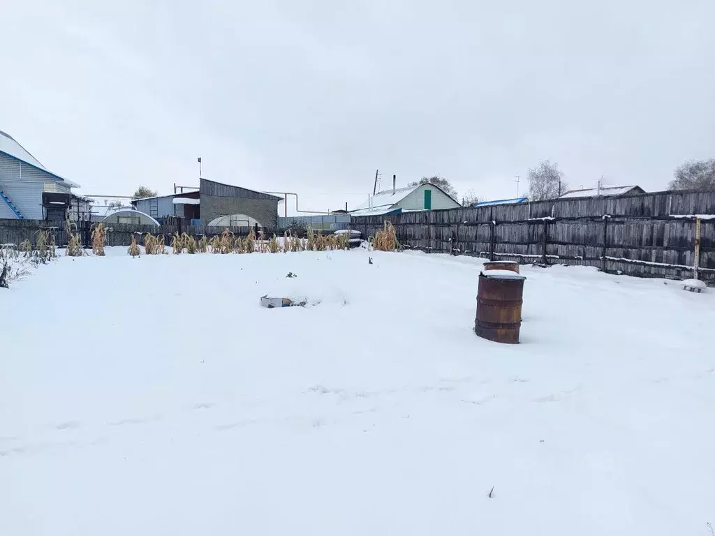Участок в Новосибирская область, Новосибирский район, с. Толмачево  ... - Фото 1