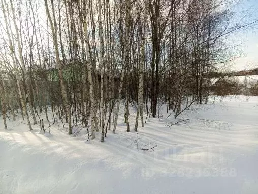 Участок в Московская область, Чехов муниципальный округ, Троицкое пгт  ... - Фото 1