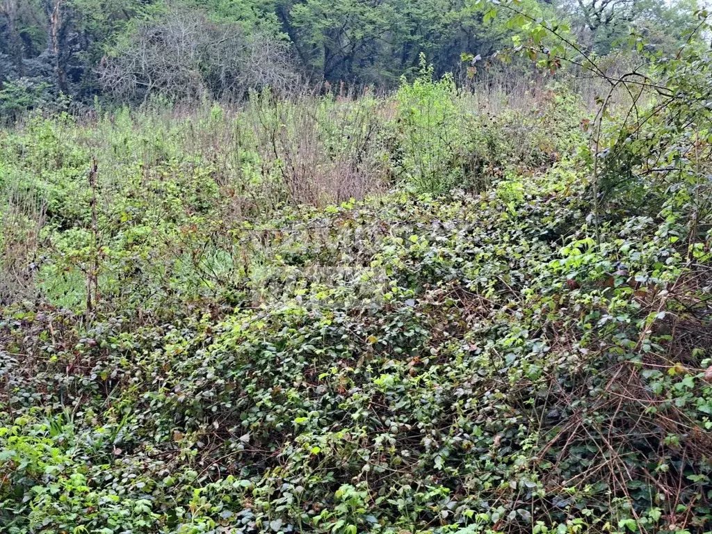 Участок в Краснодарский край, Сочи Культурное Уч-Дере мкр, ул. ... - Фото 1