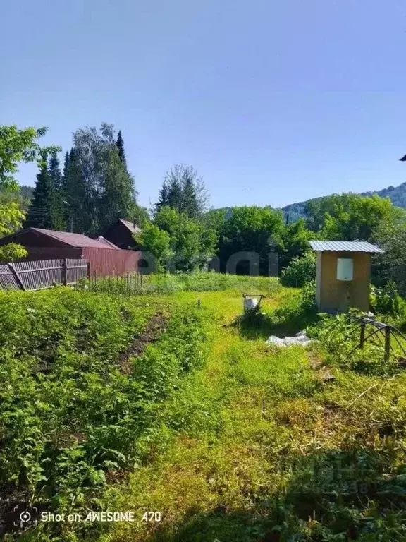 Дом в Алтайский край, Алтайский район, пос. Катунь Центральная ул., 4 ... - Фото 1