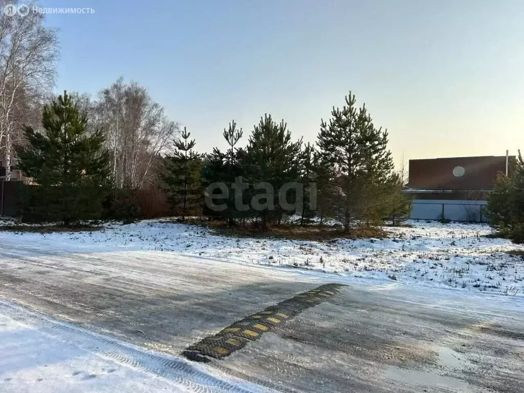 Участок в село Надеждино, ДНП Берёзовый Стан, Центральная улица (11.4 ... - Фото 1