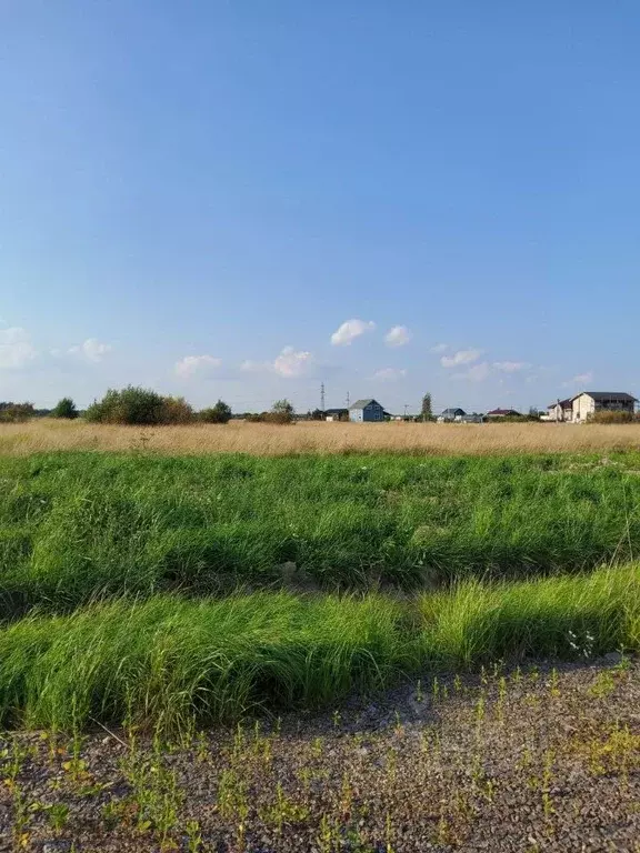 Участок в Ленинградская область, Тосненский район, Федоровское ... - Фото 0