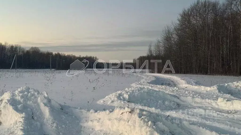 Участок в Тюменская область, Тюменский район, с. Горьковка Сибирская ... - Фото 0