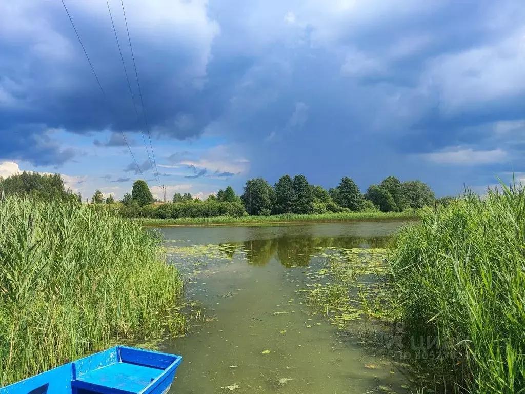 Участок в Новгородская область, Валдайский район, Ивантеевское с/пос, ... - Фото 0