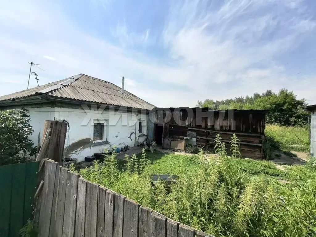 Дом в Новосибирская область, с. Новолуговое Песочная ул. (39 м) - Фото 1