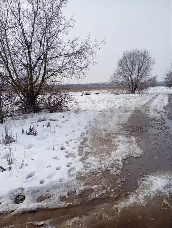 Участок в Воронеж, Кемеровская улица (8 м) - Фото 2