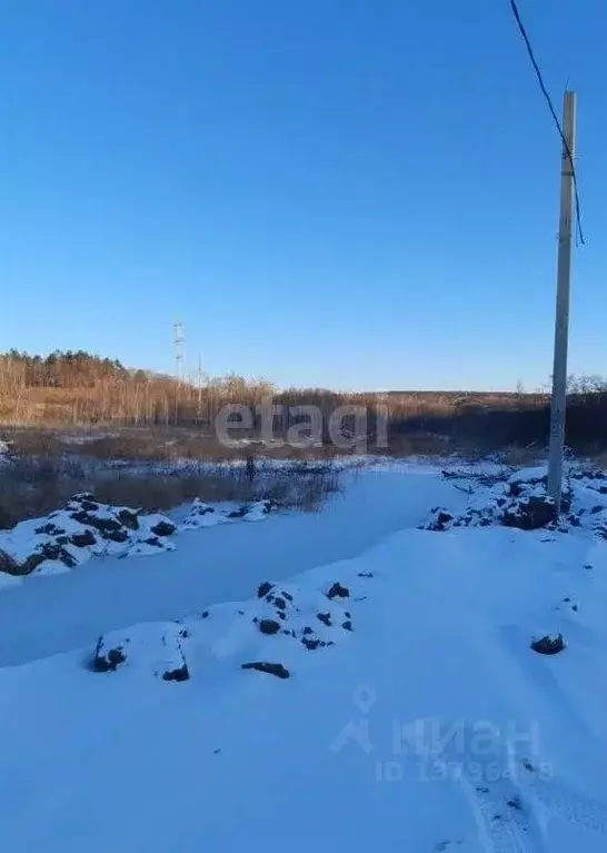 Участок в Амурская область, Благовещенский район, с. Чигири ул. Мира ... - Фото 1