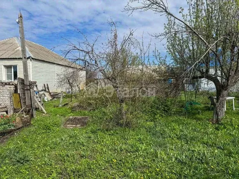 Участок в Волгоградская область, Городище рп ул. 8 Марта (5.0 сот.) - Фото 1