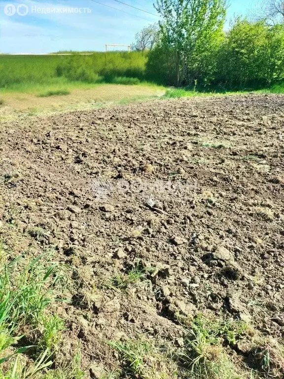 Участок в хутор Камышеваха, улица Кривошлыкова, 17 (15 м) - Фото 1