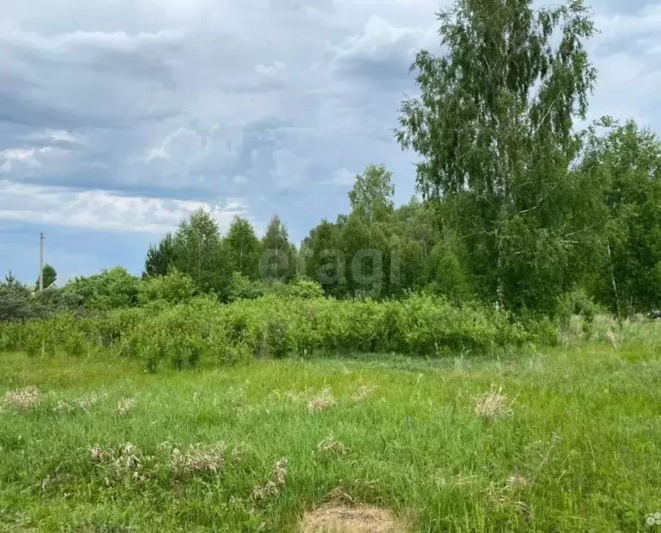 Участок в Башкортостан, Уфимский район, Авдонский сельсовет, Полигон ... - Фото 2