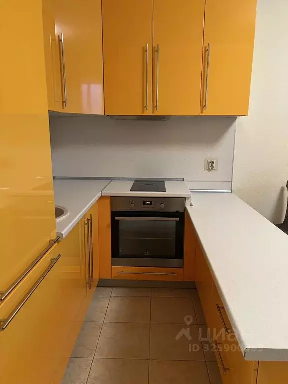 Студия Ленинградская область, Всеволожский район, д. Новое Девяткино ... - Фото 2