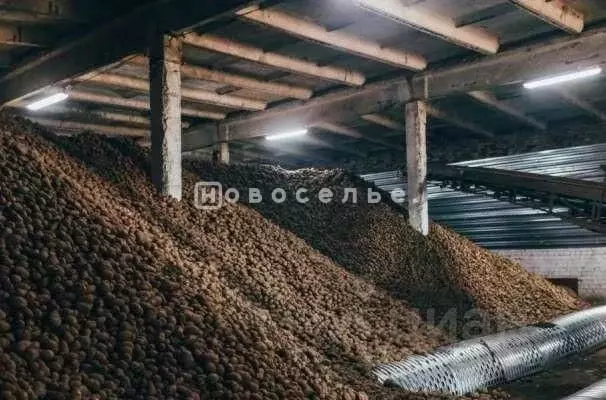 Склад в Рязанская область, Шиловский район, Занино-Починковское с/пос, ... - Фото 1