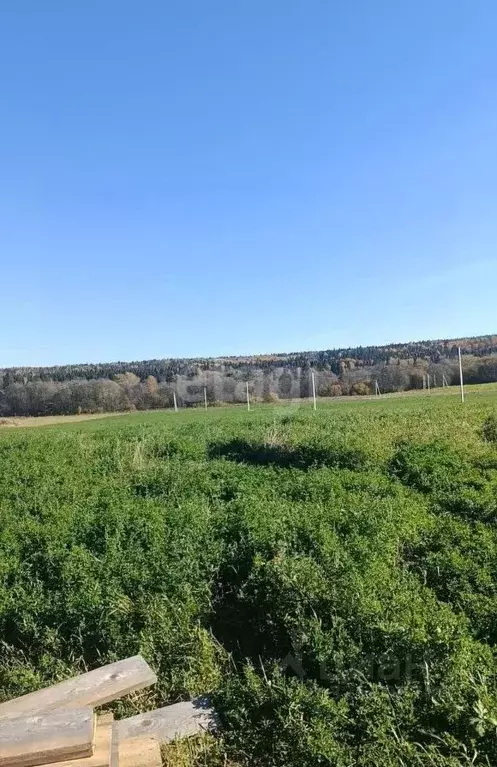 Участок в Пермский край, Пермский муниципальный округ, Полюдовский ... - Фото 2