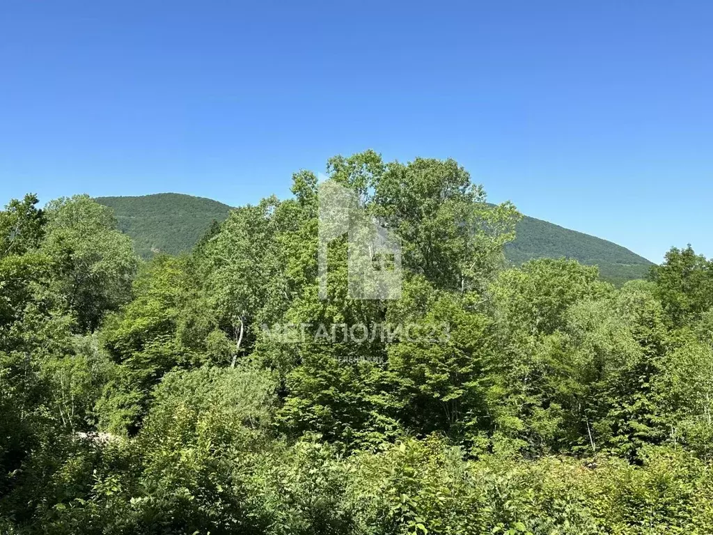 Участок в Краснодарский край, Геленджик городской округ, с. ... - Фото 1