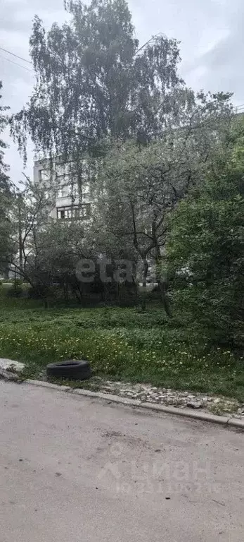 Студия Владимирская область, Муром ул. Льва Толстого, 52 (29.0 м) - Фото 1