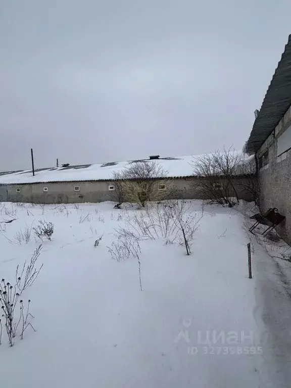 Помещение свободного назначения в Белгородская область, ... - Фото 1