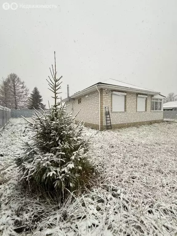 Дом в Нижегородская область, Богородский муниципальный округ, село ... - Фото 2