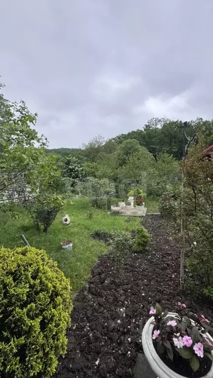 Дом в Краснодарский край, Геленджик городской округ, с. Адербиевка ул. ... - Фото 1