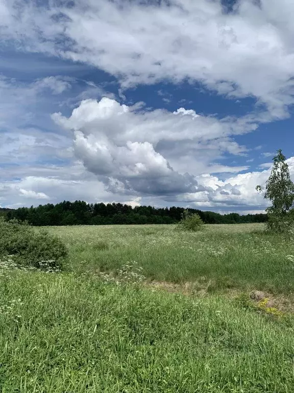 Участок в Карелия, Сортавальский муниципальный округ, пос. Оявойс  ... - Фото 1